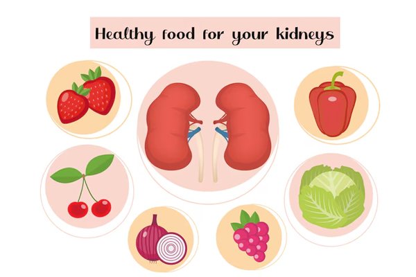 Nutrition in Kidney Disease